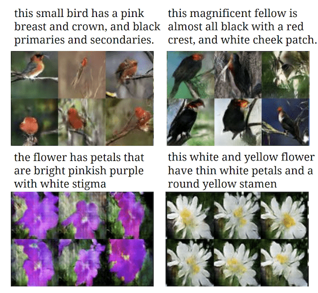 Photographs of Birds and Flowers generated from textual descriptions.
