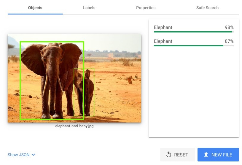 Google's object recognition applied to ta picture. Note that the AI highlights the region in the picture where the elephants are.