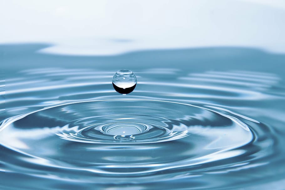 "The sum total of all that lives is God. We may not be God, but we are of God, even as a little drop of water is of the ocean." -- Mahatma Gandhi