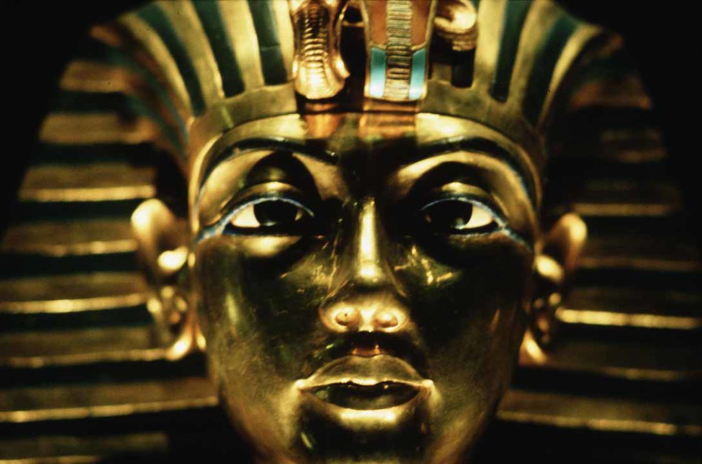 Humanity has long sought answers to the question of immortality. Image Credit: Steve Evans