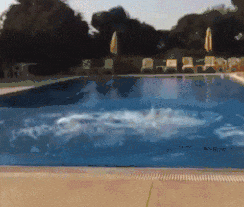 Certain events that are common in one direction of time are unlikely in other directions of time. For example, it is common to see someone jump into a pool, but we've never seen water molecules spontaneously throw people out of pools.
It is the same with systems that process information. They can't operate going backwards in time. If they could, we might see hard drives manifest pictures taken tomorrow.
Image Credit: Tenor