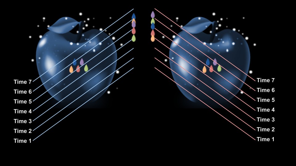 Here we see the same apple, sliced at two different angles. The direction we choose to slice through the apple determines the order the seeds are encountered.
