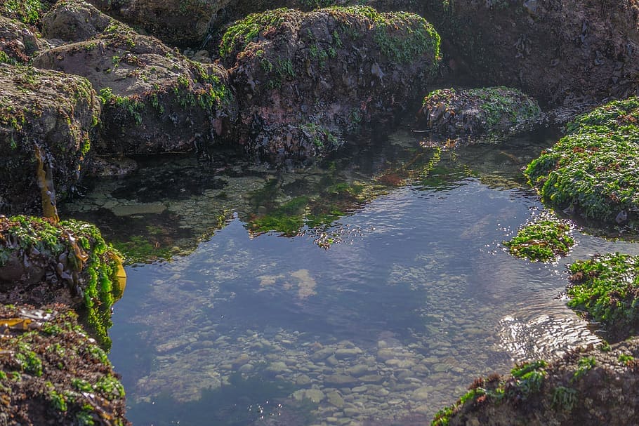 Life on earth might have had humble origins in tide pools like this.