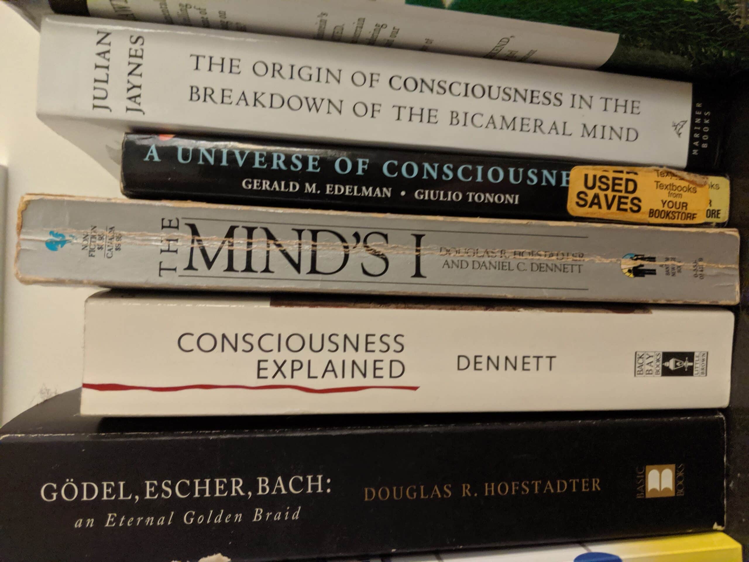 Here are books on consciousness found in our observable universe. These same books will also appear in a purely computational version of our universe – written by computational authors – who apparently are just as baffled by their conscious experiences as we are.