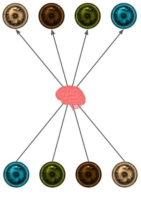 Multiple parallel histories contain identical instances of the same observer's mind state (or brain). A fundamental unpredictability and randomness will result from the observer's inability to determine which universe she's a part of, as she exists in all of them.